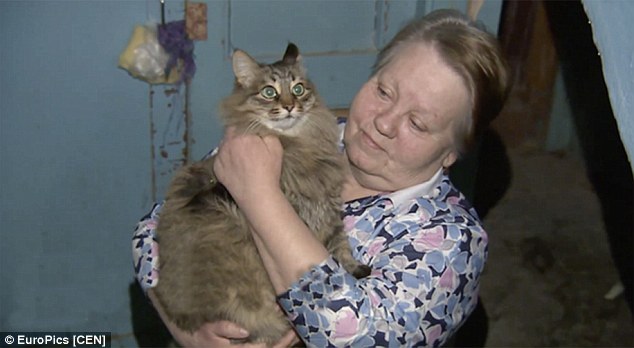 Hero: Marsha the stray cat, pictured with local resident Irina Lavrova, has been hailed a hero after saving an abandoned baby from freezing to death in Russia