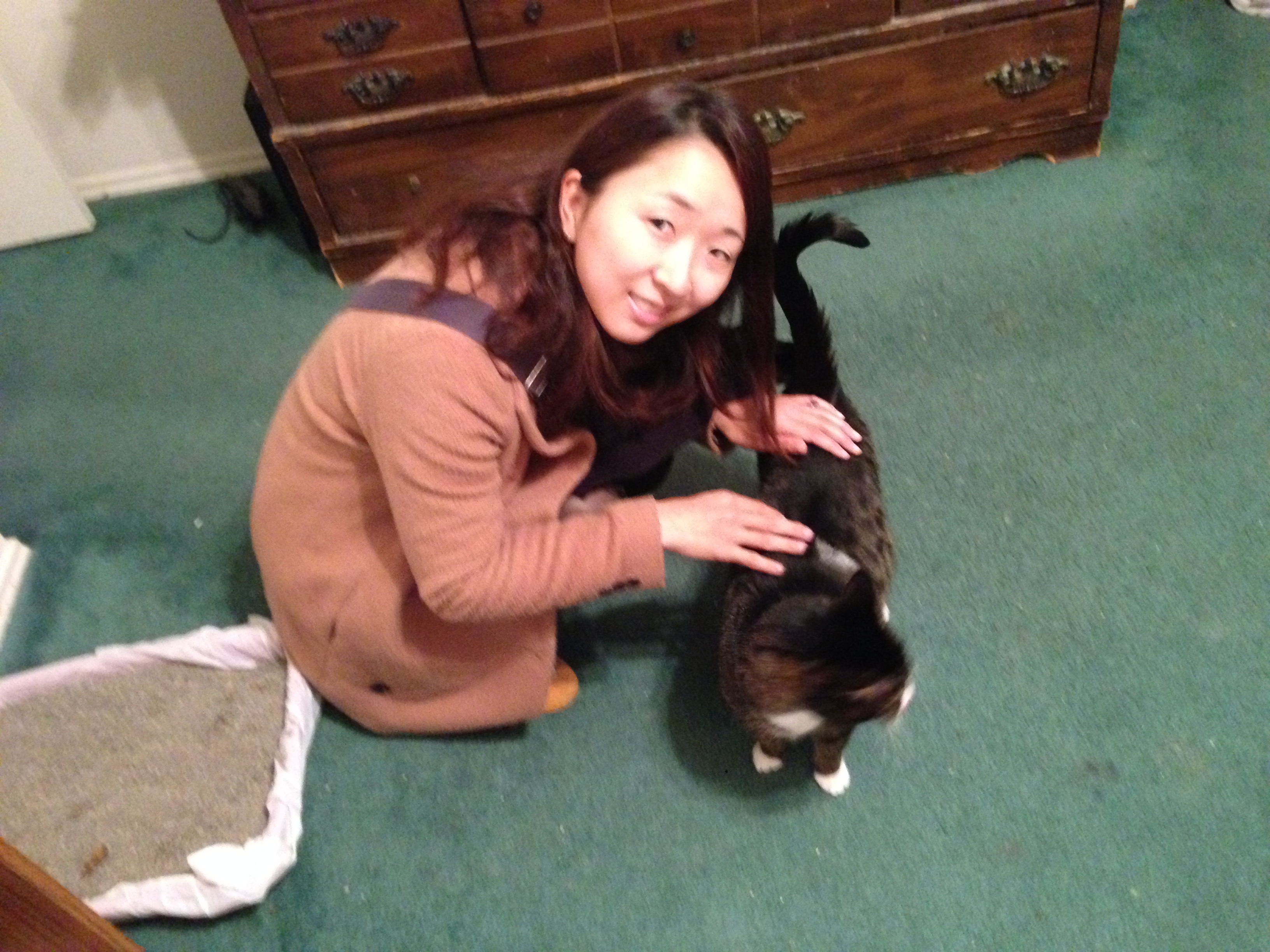 Akiko introducing herself to Mom's cat - Bear