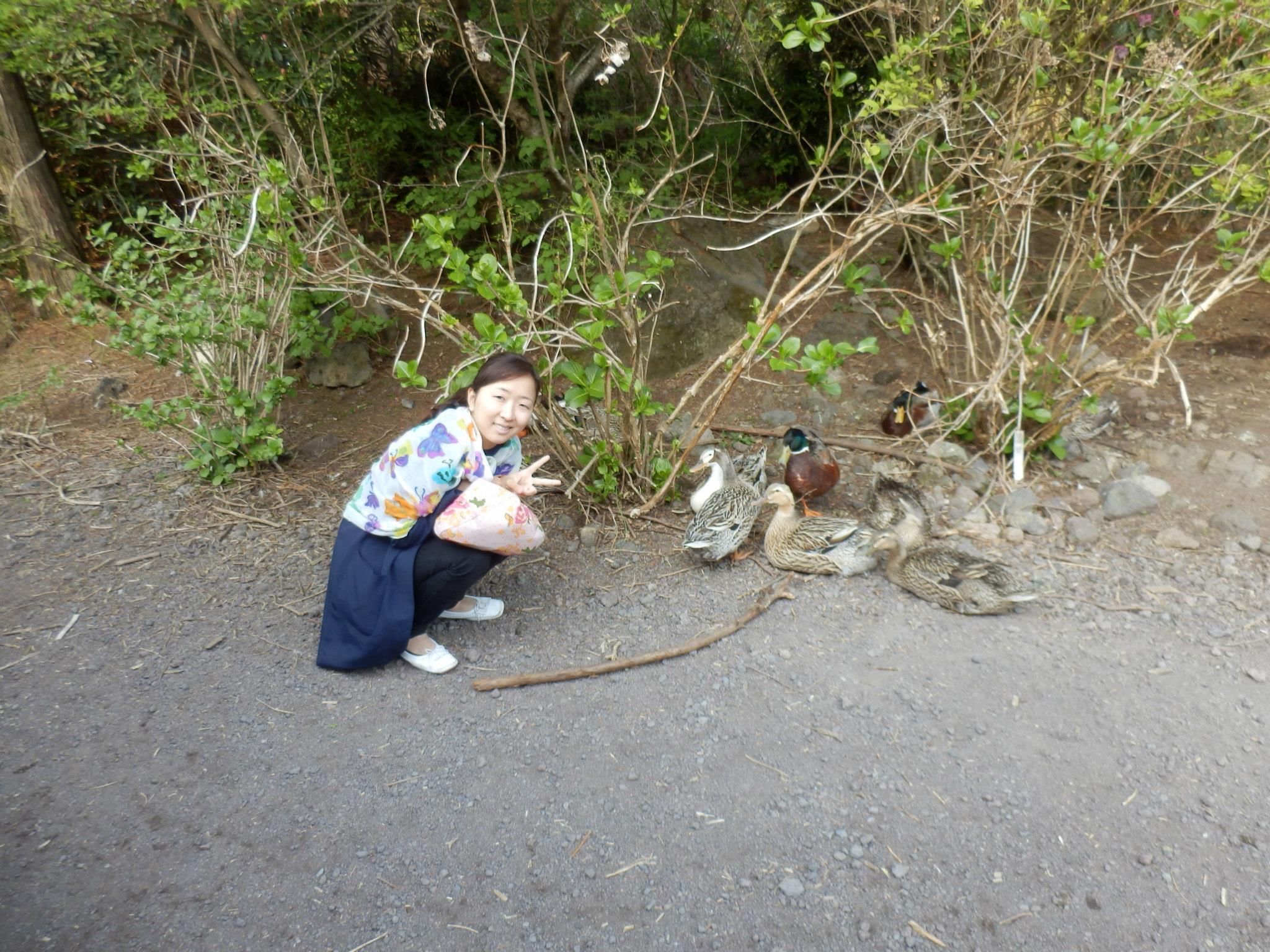 Akiko found some ducks by the lake