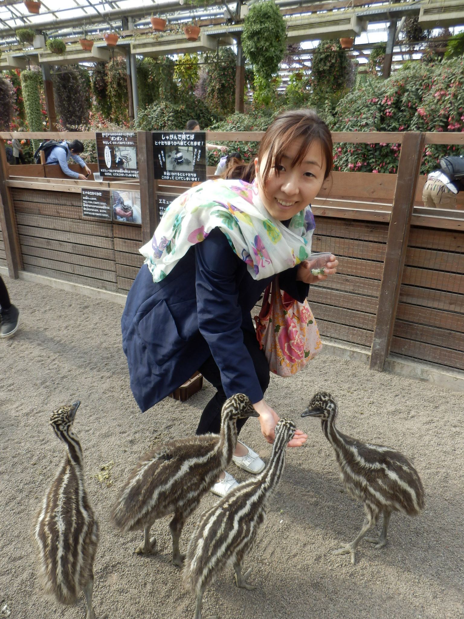 Akiko feeding the birds