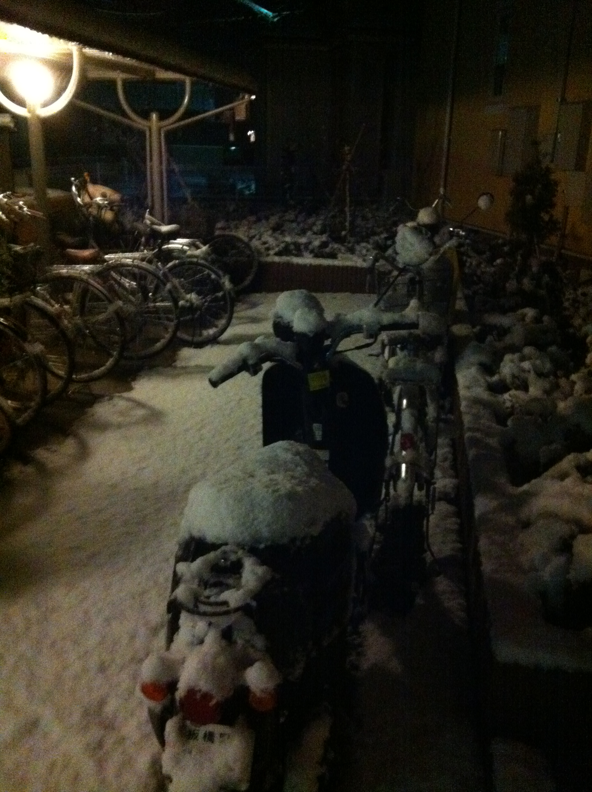 Snow covered bicycles at my home.