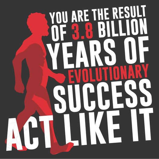 You are the result of 3.8 billion years of evolutionary success... Act like it!