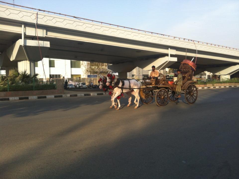 Horse & carriage travel is not uncommon in India