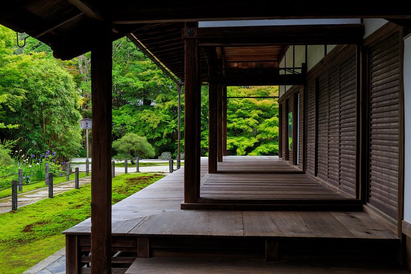 天授庵 夏庭 南禅寺塔頭 花景色 K W C Photoblog 伝統的な日本家屋 日本建築 日本のデザイン