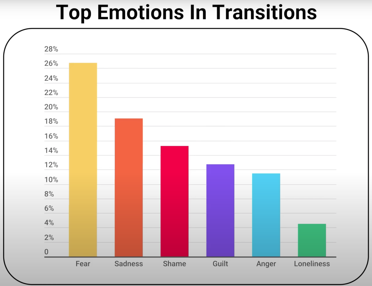 Top emotions in transitions