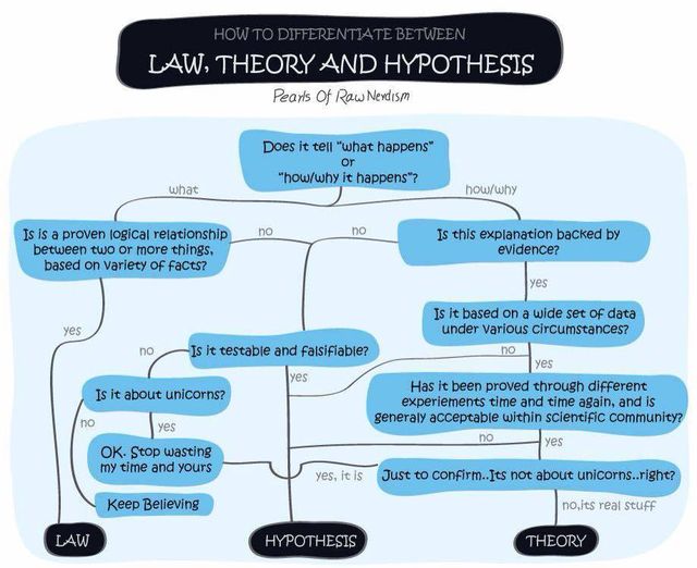 How to Differentiate between Law, Theory, and Hypothesis | By Pearls Of Raw Nerdism