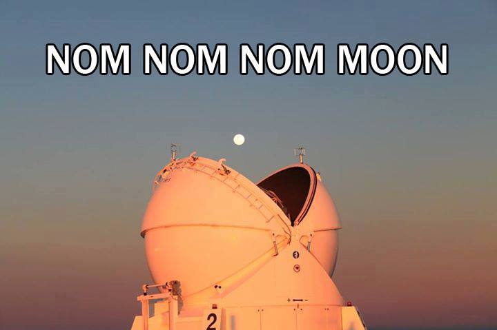 Nom Nom Nom  Moon
