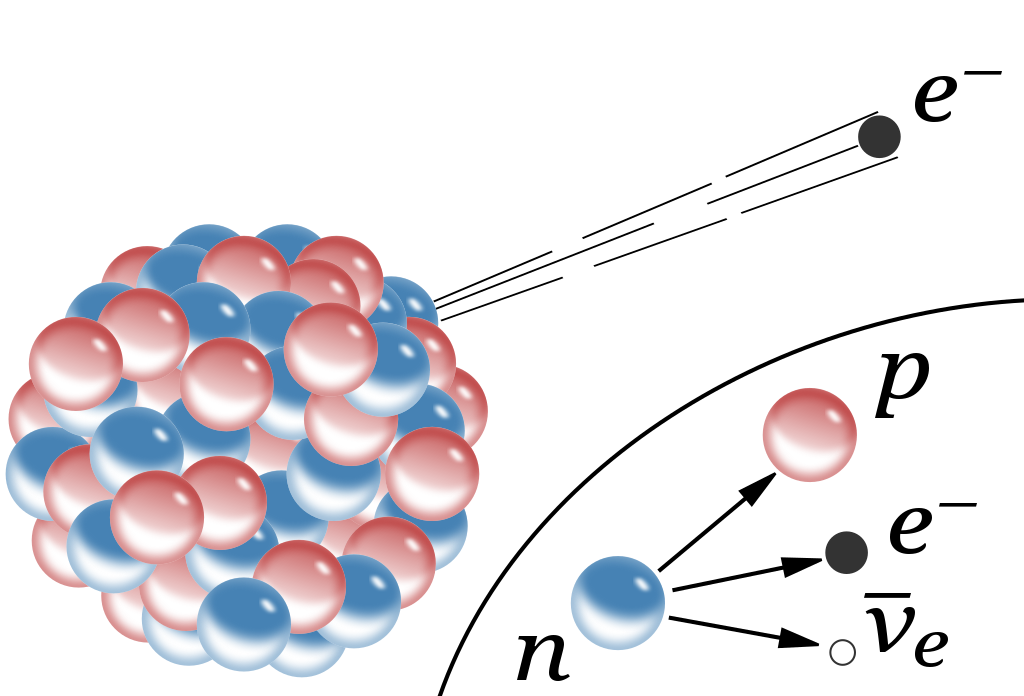 Heavy, unstable elements will radioactively decay, typically by emitting either an alpha particle (a helium nucleus) or by undergoing beta decay, as shown here, where a neutron converts into a proton, electron, and anti-electron neutrino. Both of these types of decays change the element’s atomic number, yielding a new element different from the original, and result in a lower mass for the products than for the reactants. (Credit: Inductiveload/Wikimedia Commons)