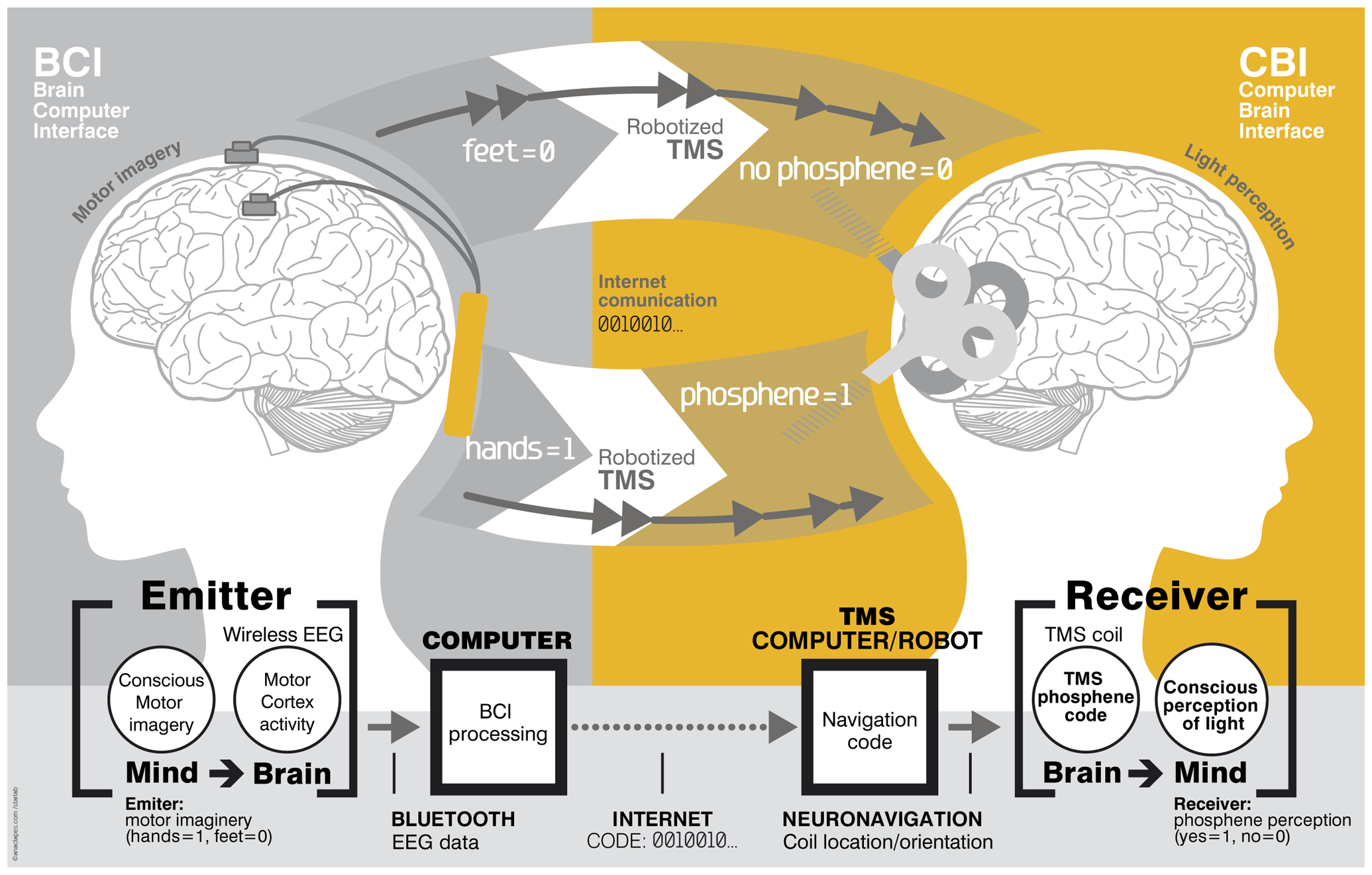Brain-to-brain (B2B) communication system overview. On the left, the BCI subsystem is shown schematically, including electrodes over the motor cortex and the EEG amplifier/transmitter wireless box in the cap. Motor imagery of the feet codes the bit value 0, of the hands codes bit value 1. On the right, the CBI system is illustrated, highlighting the role of coil orientation for encoding the two bit values. Communication between the BCI and CBI components is mediated by the internet.