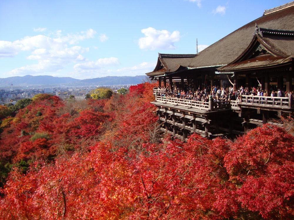 7 Must See Red Kouyou Spots In Kyoto By A Kyotoite Matcha Japan Travel Web Magazine 日本旅行 世界遺産 夢の旅行